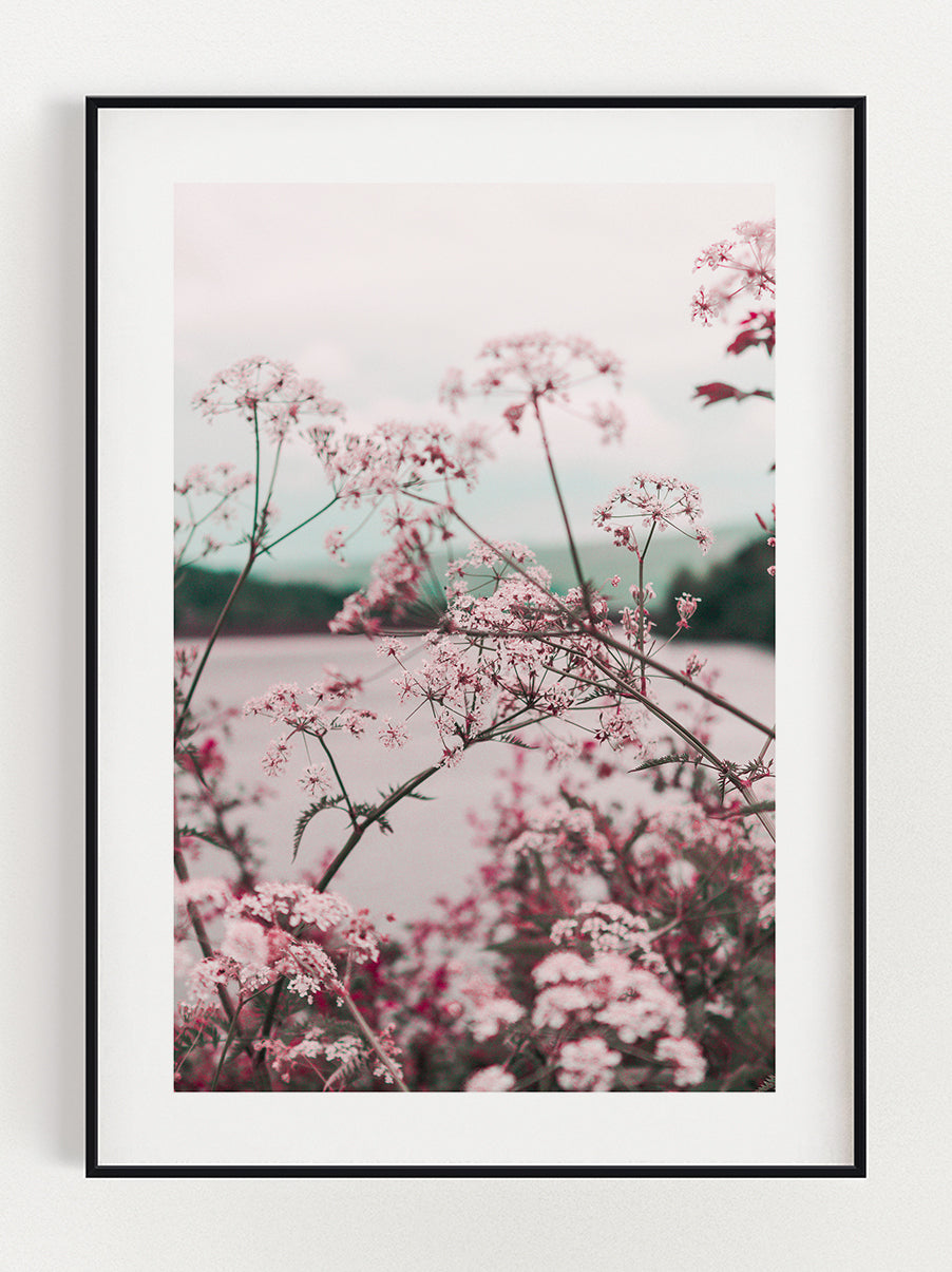 Pink Flowers Print